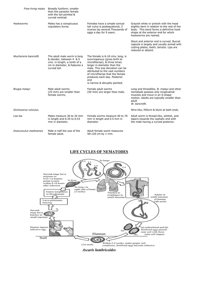 Nematodes trematodes and cestodes handouts | PDF