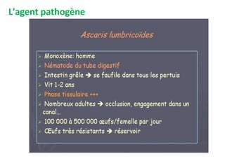 L'agent pathogène
 