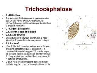 Trichocéphalose
•   1 - Définition
•   Parasitose intestinale cosmopolite causée
    par un ver rond, Trichuris trichiura, la
    trichocéphalose est favorisée par l’utilisation
    d’engrais humains.
•   2 - L'agent pathogène
•   2.1. Morphologie et biologie
•   2.1.1. Les adultes
•   Les adultes de couleur blanchâtre à rosé
    vivent enfoncés dans la muqueuse colique.
•   2.1.2. L’œuf
•   L’œuf éliminé dans les selles a une forme
    ovalaire caractéristique « en citron ». Il
    mesure 55 μm de long par 20 μm de large,
    sa double coque est épaisse et interrompue
    à chaque pôle par un bouchon muqueux. Il
    n’est pas embryonné.
•   L’œuf ne devient infestant dans le milieu
    extérieur qu’au bout de un à plusieurs mois.
 