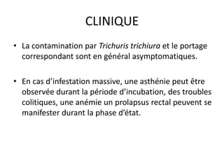 CLINIQUE
• La contamination par Trichuris trichiura et le portage
  correspondant sont en général asymptomatiques.

• En cas d’infestation massive, une asthénie peut être
  observée durant la période d’incubation, des troubles
  colitiques, une anémie un prolapsus rectal peuvent se
  manifester durant la phase d’état.
 