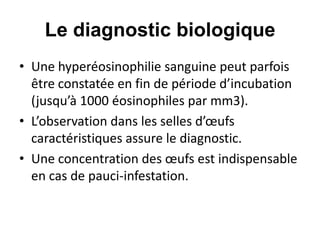 Le diagnostic biologique
• Une hyperéosinophilie sanguine peut parfois
  être constatée en fin de période d’incubation
  (jusqu’à 1000 éosinophiles par mm3).
• L’observation dans les selles d’œufs
  caractéristiques assure le diagnostic.
• Une concentration des œufs est indispensable
  en cas de pauci-infestation.
 