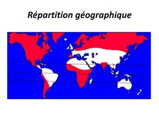 Répartition géographique
 