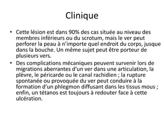Clinique
• Cette lésion est dans 90% des cas située au niveau des
  membres inférieurs ou du scrotum, mais le ver peut
  perforer la peau à n’importe quel endroit du corps, jusque
  dans la bouche. Un même sujet peut être porteur de
  plusieurs vers.
• Des complications mécaniques peuvent survenir lors de
  migrations aberrantes d’un ver dans une articulation, la
  plèvre, le péricarde ou le canal rachidien ; la rupture
  spontanée ou provoquée du ver peut conduire à la
  formation d’un phlegmon diffusant dans les tissus mous ;
  enfin, un tétanos est toujours à redouter face à cette
  ulcération.
 