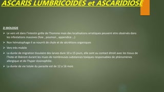 ASCARIS LUMBRICOIDES et ASCARIDIOSE
2) BIOLOGIE
 Le vers vit dans l’intestin grêle de l’homme mais des localisations erratiques peuvent etre obsérvés dans
les infestations massives (foie , poumon , appendice …)
 Non hématophage il se nourrit de chyle et de sécrétions organiques
 Vers très mobile
 La durée de migration tissulaire des larves dure 10 a 15 jours, elle sont au contact étroit avec les tissus de
l’hote et libèrent durant les mues de nombreuses substances toxiques responsables de phènomènes
allergique et de l’hyper éosinophilie.
 La durée de vie totale du parasite est de 12 a 16 mois
 