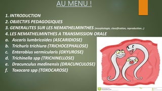 AU MENU !
1. INTRODUCTION
2. OBJECTIFS PEDAGOGIQUES
3. GENERALITES SUR LES NEMATHELMINTHES (morphologie, classification, reproduction…)
4. LES NEMATHELMINTHES A TRANSMISSION ORALE
a. Ascaris lumbricoides (ASCARIDIOSE)
b. Trichuris trichiura (TRICHOCEPHALOSE)
c. Enterobius vermicularis (OXYUROSE)
d. Trichinella spp (TRICHINELLOSE)
e. Dracunculus medinensis (DRACUNCULOSE)
f. Toxocara spp (TOXOCAROSE)
 