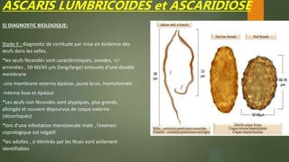 ASCARIS LUMBRICOIDES et ASCARIDIOSE
5) DIAGNOSTIC BIOLOGIQUE:
Stade II : diagnostic de certitude par mise en évidence des
œufs dans les selles.
*les œufs fécondés sont caractéristiques, ovoides, +/-
arrondies , 50-60/45 µm (long/large) entourés d’une double
membrane
-une membrane externe épaisse, jaune brun, mamelonnée
-interne lisse et épaisse
*Les œufs non fécondés sont atypiques, plus grands,
allongés et souvent dépourvus de coque externe
(décortiqués)
*lors d’une infestation monosexuée male , l’examen
coprologique est négatif.
*les adultes , si éliminés par les fèces sont acilement
identifiables
 