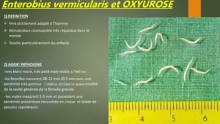Enterobius vermicularis et OXYUROSE
1) DEFINITION
 Vers strictement adapté a l’homme
 Nématodose cosmopolite très répandue dans le
monde
 Touche particulièrement les enfants
2) AGENT PATHOGENE
-vers blanc nacré, très petit mais visible a l’œil nu
-les femelles mesurent 08-12 mm /0,5 mm avec une
extrémité très pointue . L’utérus occupe la quasi-totalité
de la cavité générale de la femelle gravide.
-les males mesurent 3-5 mm et possèdent une
extrémité postérieure recourbée en crosse et dotée de
spicules copulateurs.
 