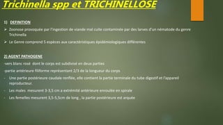 Trichinella spp et TRICHINELLOSE
1) DEFINITION
 Zoonose provoquée par l’ingestion de viande mal cuite contaminée par des larves d’un nématode du genre
Trichinella
 Le Genre comprend 5 espèces aux caractéristiques épidémiologiques différentes
2) AGENT PATHOGENE
-vers blanc rosé dont le corps est subdivisé en deux parties
-partie antérieure filiforme représentant 2/3 de la longueur du corps
- Une partie postérieure caudale renflée, elle contient la partie terminale du tube digestif et l’appareil
reproducteur.
- Les males mesurent 3-3,5 cm a extrémité antérieure enroulée en spirale
- Les femelles mesurent 3,5-5,5cm de long , la partie postérieure est arquée
 