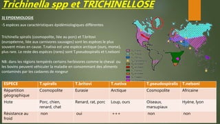 Trichinella spp et TRICHINELLOSE
3) EPIDEMIOLOGIE
-5 espèces aux caractéristiques épidémiologiques différentes
Trichinella spiralis (cosmopolite, liée au porc) et T.britovi
(européenne, liée aux carnivores sauvages) sont les espèces le plus
souvent mises en cause. T.nativa est une espèce arctique (ours, morse),
plus rare. Le reste des espèces (rares) sont T.pseudospiralis et t.nelsoni
NB: dans les régions tempérés certains herbivores comme le cheval ou
les bovins peuvent véhiculer la maladie en consommant des aliments
contaminés par les cadavres de rongeur
ESPECE T.spiralis T.britovi T.nativa T.pseudospiralis T.nelsoni
Répartition
géographique
Cosmopolite Eurasie Arctique Cosmopolite Africaine
Hote Porc, chien,
renard, chat
Renard, rat, porc Loup, ours Oiseaux,
marsupiaux
Hyène, lyon
Résistance au
froid
non oui +++ non non
 
