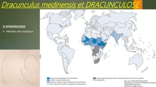 Dracunculus medinensis et DRACUNCULOSE
2) EPIDEMIOLOGIE
 Maladie afro-asiatique
 
