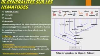 III.GENERALITES SUR LES
NEMATODES
A) CLASSIFICATION :
D Eukaryota
R Animalia
E Nematoda
Les nématodes parasites ont une classification phylogénétique
complexe et appartiennt a des ordres et familles très diverses
En parasitologie médicale on les classe selon le mode de
transmission en :
1) Per os : Ascaris lumbricoides , Enterobium vermicularis,
Trichuris trichiura , Dracunculus medinensis, Trichinella spp,
Toxocara spp .
2) Transcutané :
*par passage actif transcutané des larves d’Ancylostoma
duodenale , Necator americanus et Strongyloides stercoralis
*Par inoculation par un insecte hématophage : Filaires
 