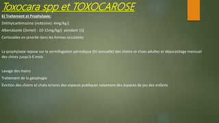 6) Traitement et Prophylaxie:
Diéthylcarbimazine (notezine): 4mg/kg/j
Albendazole (Zentel) : 10-15mg/kg/j pendant 15j
Corticoides en priorité dans les formes occulaires
La prophylaxie repose sur la vermifugation périodique (tri annuelle) des chiens et chats adultes et déparasitage mensuel
des chiots jusqu’à 6 mois
Lavage des mains
Traitement de la géophagie
Éviction des chiens et chats errants des espaces publiques notament des espaces de jeu des enfants
Toxocara spp et TOXOCAROSE
 