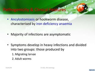 03/05/09 Dr Ekta, Microbiology
Pathogenicity & Clinical Features
• Ancylostomiasis or hookworm disease,
characterised by i...