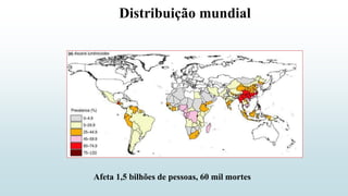 Distribuição mundial
Afeta 1,5 bilhões de pessoas, 60 mil mortes
 