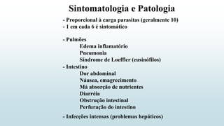 Sintomatologia e Patologia
- Proporcional à carga parasitas (geralmente 10)
- 1 em cada 6 é sintomático
- Pulmões
Edema inflamatório
Pneumonia
Síndrome de Loeffler (eusinófilos)
- Intestino
Dor abdominal
Náusea, emagrecimento
Má absorção de nutrientes
Diarréia
Obstrução intestinal
Perfuração do intestino
- Infecções intensas (problemas hepáticos)
 