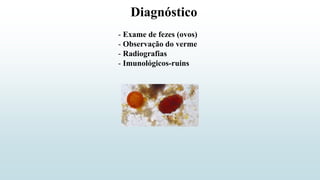 - Exame de fezes (ovos)
- Observação do verme
- Radiografias
- Imunológicos-ruins
Diagnóstico
 
