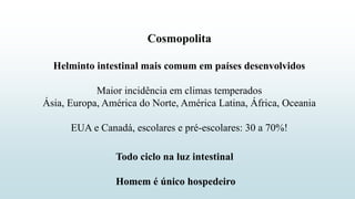 Cosmopolita
Helminto intestinal mais comum em países desenvolvidos
Maior incidência em climas temperados
Ásia, Europa, América do Norte, América Latina, África, Oceania
EUA e Canadá, escolares e pré-escolares: 30 a 70%!
Todo ciclo na luz intestinal
Homem é único hospedeiro
 