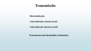Transmissão
-Heteroinfecção
-Auto-infecção externa (oral)
-Auto-infecção interna (retal)
Transmissão intradomiciliar, instituições
 