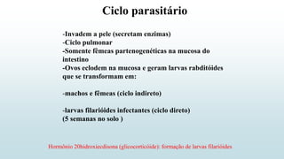 Ciclo parasitário
-Invadem a pele (secretam enzimas)
-Ciclo pulmonar
-Somente fêmeas partenogenéticas na mucosa do
intestino
-Ovos eclodem na mucosa e geram larvas rabditóides
que se transformam em:
-machos e fêmeas (ciclo indireto)
-larvas filarióides infectantes (ciclo direto)
(5 semanas no solo )
Hormônio 20hidroxiecdisona (glicocorticóide): formação de larvas filarióides
 