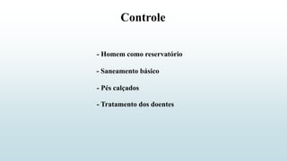 Controle
- Saneamento básico
- Pés calçados
- Tratamento dos doentes
- Homem como reservatório
 