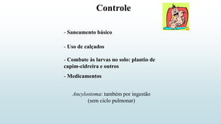 Controle
- Saneamento básico
- Uso de calçados
- Combate às larvas no solo: plantio de
capim-cidreira e outros
- Medicamentos
Ancylostoma: também por ingestão
(sem ciclo pulmonar)
 
