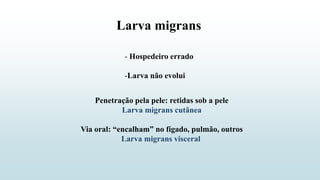 Larva migrans
- Hospedeiro errado
-Larva não evolui
Penetração pela pele: retidas sob a pele
Larva migrans cutânea
Via oral: “encalham” no fígado, pulmão, outros
Larva migrans visceral
 