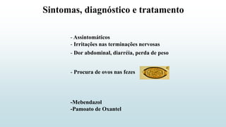 Sintomas, diagnóstico e tratamento
- Assintomáticos
- Irritações nas terminações nervosas
- Dor abdominal, diarréia, perda de peso
-Mebendazol
-Pamoato de Oxantel
- Procura de ovos nas fezes
 