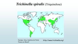 Trichinella spiralis (Triquinelose)
http://www.trichinella.org/
Europa, Ásia, América do Norte
Nunca no Brasil!
 