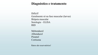 Diagnóstico e tratamento
Difícil!
Geralmente só na fase muscular (larvas)
Biópsia muscular
Sorologia – ELISA
RID
Mebendazol
Albendazol
Pirantel
Cortisona
Ratos são reservatórios!
 