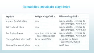 Nematódios intestinais: diagnóstico
 