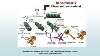 Benzimidazóis
Albendazol, mebendazol
Mebendazol: inibição em Ascaris com constante de inibição 250-400
vezes maior que em bovinos
 