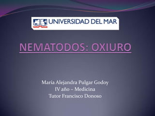 NEMATODOS: OXIURO María Alejandra Pulgar Godoy IV año – Medicina Tutor Francisco Donoso 