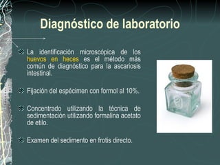 Diagnóstico de laboratorio
La identificación microscópica de los
huevos en heces es el método más
común de diagnóstico para la ascariosis
intestinal.

Fijación del espécimen con formol al 10%.

Concentrado utilizando la técnica de
sedimentación utilizando formalina acetato
de etilo.

Examen del sedimento en frotis directo.
 