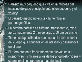 Parásito muy pequeño que vive en la mucosa del
intestino delgado principalmente el en duodeno y el
yeyuno.
El parásito macho no existe y la hembra es
partenogenética.
La hembra parásita es filiforme, transparente, mide
aproximadamente 2 mm de largo x 50 um de ancho
Tiene esofago cilíndrico que ocupa el tercio anterior
del cuerpo que continua en el intestino y desemboca
en el ano
El utero presenta frecuentemente huevos en su
interior y son similares a los de los anquilostomideos y
su presencia es rara en la materia fecal.
 
