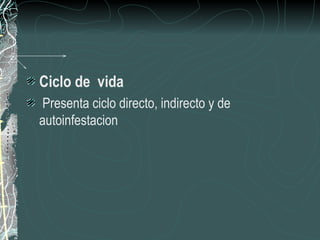 Ciclo de vida
 Presenta ciclo directo, indirecto y de
autoinfestacion
 