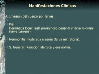Manifestaciones Clínicas

A. Invasión del cuerpo por larvas:

   Piel
    Dermatitis local: rash pruriginoso perianal y larva migrans
    (larva currens).

   Neumonitis moderada o asma (larva migratoria).

   S. General: Reacción alérgica y eosinofilia.
 