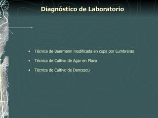 Diagnóstico de Laboratorio




•   Técnica de Baermann modificada en copa por Lumbreras

•   Técnica de Cultivo de Agar en Placa

•   Técnica de Cultivo de Dancescu
 