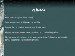 CLÍNICA

Asintomático (mayoría de los casos).

Nerviosismo, insomnio, hiporexia y eosinofilia.

Diarrea, dolor abdominal, tenesmo y pérdida de peso.

Algunos pacientes pueden presentar flatulencia, constipación y fiebre.

El prolapso rectal puede ocurrir en casos de gran irritación intestinal por elevadas
cargas parasitarias, especialmente en niños.
 