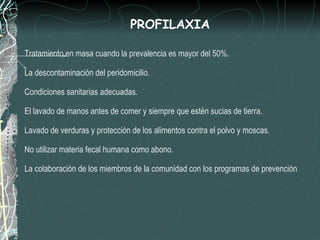 PROFILAXIA

Tratamiento en masa cuando la prevalencia es mayor del 50%.

La descontaminación del peridomicilio.

Condiciones sanitarias adecuadas.

El lavado de manos antes de comer y siempre que estén sucias de tierra.

Lavado de verduras y protección de los alimentos contra el polvo y moscas.

No utilizar materia fecal humana como abono.

La colaboración de los miembros de la comunidad con los programas de prevención
 