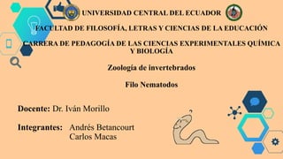 UNIVERSIDAD CENTRAL DEL ECUADOR
FACULTAD DE FILOSOFÍA, LETRAS Y CIENCIAS DE LA EDUCACIÓN
CARRERA DE PEDAGOGÍA DE LAS CIENCIAS EXPERIMENTALES QUÍMICA
Y BIOLOGÍA
Zoología de invertebrados
Filo Nematodos
Docente: Dr. Iván Morillo
Integrantes: Andrés Betancourt
Carlos Macas
 
