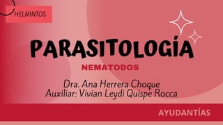 PARASITOLOGÍA
NEMATODOS
AYUDANTÍAS
Dra. Ana Herrera Choque
Auxiliar: Vivian Leydi Quispe Rocca
HELMINTOS
 