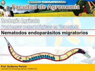 Nematodos endoparásitos migratorios
Prof. Guillermo Perichi
Laboratorio de Nematología Agrícola, FAGRO-UCV
 