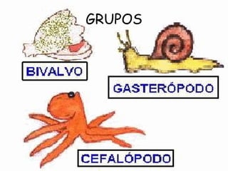 GRUPOS 