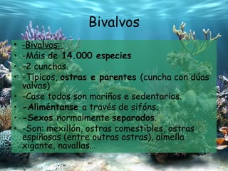 Bivalvos - Bivalvos:  -Máis de  14.000 especies -2 cunchas. -Típicos,  ostras e parentes  (cuncha con dúas valvas) -Case todos son mariños e sedentarios. - Aliméntanse   a través de  sifóns. -Sexos  normalmente  separados . -Son: mexillón, ostras comestibles, ostras espiñosas (entre outras ostras),  almella  xigante, n avallas … 