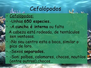 Cefalópodos Cefalópodos: -Unhas  650 especies. -A  cuncha é interna  ou falta A cabeza está rodeada, de tentáculos sen ventosas. -No seu centro esta a boca, similar o pico de loro. -Sexos  separados. -Son:  polbos,  calamares, chocos, nautilos (entre outros),chocos… 
