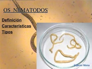 OS NEMATODOS Definición Características Tipos 