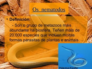 Os nematodos Definición: - Son o grupo de metazoos máis abundante na biosfera. Teñen máis de 20.000 especies que inclúen moitas formas parasitas de plantas e animais. 