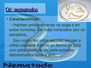 Os nematodos Características: - Habitan principalmente na auga e en solos húmidos. Os máis coñecidos son os parasitos. Seu corpo ten unha sección circular e unha cavidade interna en forma de tubo con unha abertura en cada extremo denominados boca e ano. 