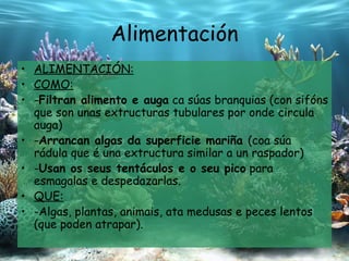 Alimentación ALIMENTACIÓN: COMO: - Filtran alimento e auga  ca súas branquias (con  sifóns  que son unas  extructuras  tubulares por onde circula auga) - Arrancan algas da superficie mariña  ( coa súa   rádula que é una  extructura  similar a un raspador) - Usan os seus tentáculos e o seu pico  para esmagala s e despedazarlas . QUE: -Algas, plantas, animais, ata medusas e  peces lentos  (que poden atrapar). 