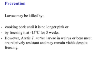 Prevention

  Larvae may be killed by:

- cooking pork until it is no longer pink or
- by freezing it at -15°C for 3 weeks.
- However, Arctic T. nativa larvae in walrus or bear meat
  are relatively resistant and may remain viable despite
  freezing.
 